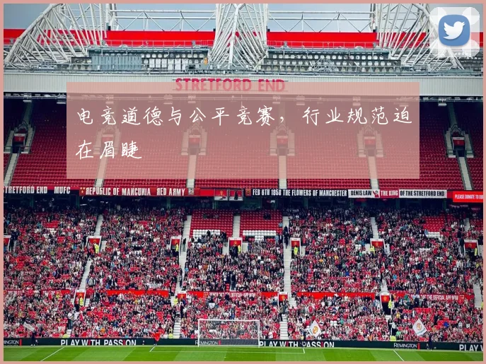 电竞道德与公平竞赛,行业规范迫在眉睫