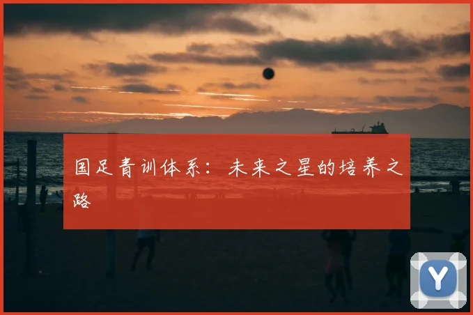 国足青训体系：未来之星的培养之路