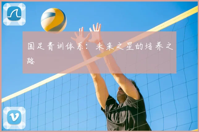 国足青训体系：未来之星的培养之路