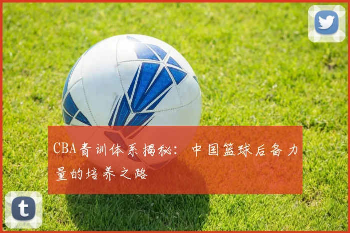 CBA青训体系揭秘:中国篮球后备力量的培养之路